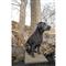 ALPS OutdoorZ Timber Dog Stand, Brown