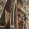 Eberlestock X2 Day Pack, Mountain