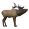 Rinehart Woodland Elk Target