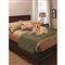Provides a cozy-soft place for your dog to sleep, Sage