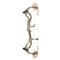 Bear Divergent EKO Compound Bow, 45-60 lb. Draw Weight, Right Hand, Realtree EDGE™