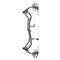 Bear Divergent EKO Compound Bow, 45-60 lb. Draw Weight, Right Hand, Iron