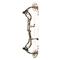 Bear Divergent EKO Compound Bow, 45-60 lb. Draw Weight, Right Hand, Veil Stoke