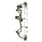 Bear Royale Ready-to-Hunt Compound Bow Package, 5-50 lb. Draw Weight, Right Hand, Toxic