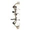 Bear Archery Paradox Ready-to-Hunt Compound Bow Package, Right Hand, 55-70 lbs., Veil Alpine