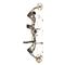 Bear Archery Paradox Ready-to-Hunt Compound Bow Package, Right Hand, 55-70 lbs., Veil Stoke