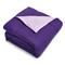 Blue Ridge Reversible Down Alternative Comforter, Purple/violet