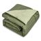 Blue Ridge Reversible Down Alternative Comforter, Olive/sage