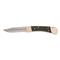 Buck Knives 110 Folding Hunter Knife, Brown