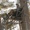Rivers Edge Lockdown 17' 2 Man Ladder Tree Stand