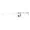 Abu Garcia Max Pro Spinning Combo with Berkley Flicker Shad Lure Pack