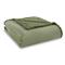 Shavel Home Products Micro Flannel Sherpa Blanket, Willow