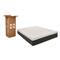 Sealy 12" Memory Foam Mattress-in-a-Box with Cool & Clean Cover