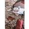 ALPS Mountaineering Camp Table, Silver