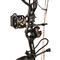 Bear Archery Royale Ready-to-Hunt Extra Compound Bow Package, 5-50 lbs., Shadow