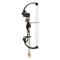 Bear Archery Brave Youth Compound Bow Set, 25-lb. Draw Weight, Right Hand, Black