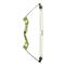 Bear Archery Apprentice Youth Compound Bow Set, 13.5-lb. Draw Weight, Right Hand