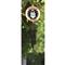 Red Carpet Studios Military Branch Wind Chime, Air Force