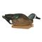 Avery Greenhead Gear Pro-Grade Blue-Winged Teal Duck Decoys, 6 Pack