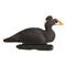Avery Greenhead Gear Pro-Grade Surf Scooter Duck Decoys, 6 Pack