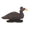 Avery Greenhead Gear Pro-Grade Surf Scoter Duck Decoys, 6 Pack