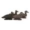 Avery GHG Pro-Grade Surf Scoter Duck Decoys, 6 Pack