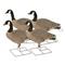 Avery GHG Pro-Grade XD Series Canada Goose Full Body Active Decoys, 4 Pack