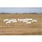 Avery GHG Pro Grade Snow Goose Sock Decoys with Heads, 12 Pack