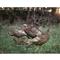 Higdon Hard Body Quarter Strut Jake Turkey Decoy