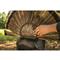Higdon Apex Strutter Hard Body Turkey Decoy