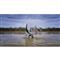 Integrated pump creates water-spraying surface disturbance