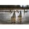 Higdon Magnum Canada Goose Butt Decoys, 2 Pack