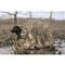 MOmarsh Invisi-Lab Dog Blind