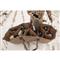 Higdon X-Slot Universal Goose Decoy Bag