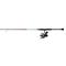 PENN Pursuit IV LE 3000 Spinning Combo, 7' Length, Medium Light Power, Moderate Fast Action