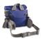Back view, Blue