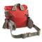 Back view, Red