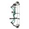 Diamond Archery Edge XT Compound Bow, 20-70 lbs., Mossy Oak Teal Country Roots