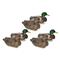 Mayhem Decoys Mallard Painted Head Floater Duck Decoys, 6 Pack