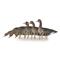 Avian-X AXF Specklebelly Fusion Pack Flocked Decoys, 6 Pack