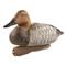 Avery GHG Hunter Series Oversized Canvasback Decoys, 6 Pack