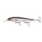 13 Fishing Loco Special Jerkbait, 6-9 ft., Gizzard Of Oz