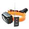 DT Systems BTB 809 Beeper Collar with Remote