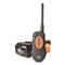 DT Systems H2O 1850 PLUS Remote Electronic Dog Beeper Trainer