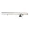 Daiwa Eliminator Saltwater Spinning Combo, 9' Length, Medium Heavy Power, 4000 Reel