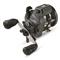 Daiwa Accudepth Plus Line Counter Reel with Dual Knob Paddle Handle, Size 20, 4.2:1, Right Hand