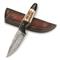 SZCO Horn and Stag Hunter Damascus Fixed Blade Knife