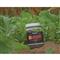 Domain Pounder Hybrid Brassica Food Plot Seed, 1 lb.