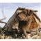 MOmarsh Field House LP Dog Blind, Optifade Marsh