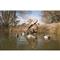 Higdon Magnum Mallard Duck Decoys, 6 Pieces with Bag